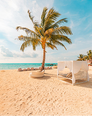 Rectangle 16 (3).jpg